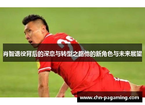 肖智退役背后的深意与转型之路他的新角色与未来展望