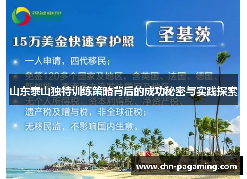 山东泰山独特训练策略背后的成功秘密与实践探索