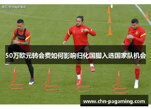 50万欧元转会费如何影响归化国脚入选国家队机会