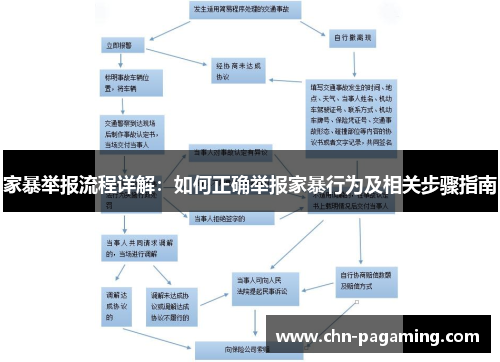 家暴举报流程详解：如何正确举报家暴行为及相关步骤指南
