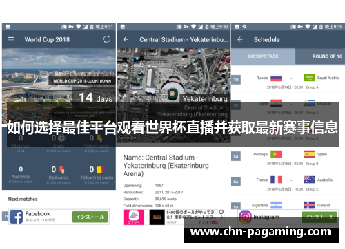 如何选择最佳平台观看世界杯直播并获取最新赛事信息