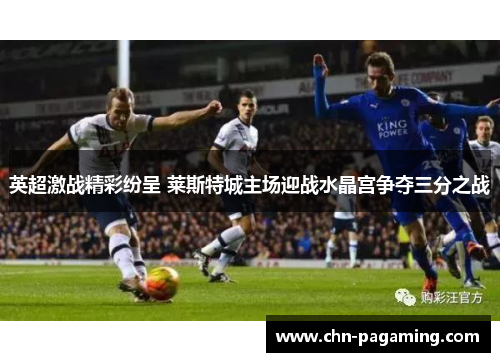 英超激战精彩纷呈 莱斯特城主场迎战水晶宫争夺三分之战