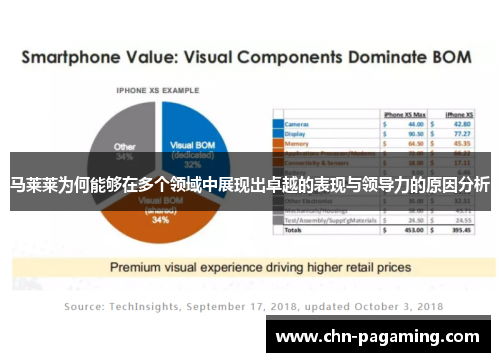 马莱莱为何能够在多个领域中展现出卓越的表现与领导力的原因分析