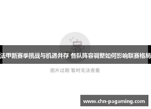 法甲新赛季挑战与机遇并存 各队阵容调整如何影响联赛格局