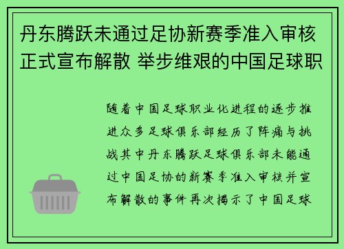 丹东腾跃未通过足协新赛季准入审核正式宣布解散 举步维艰的中国足球职业化困境再现